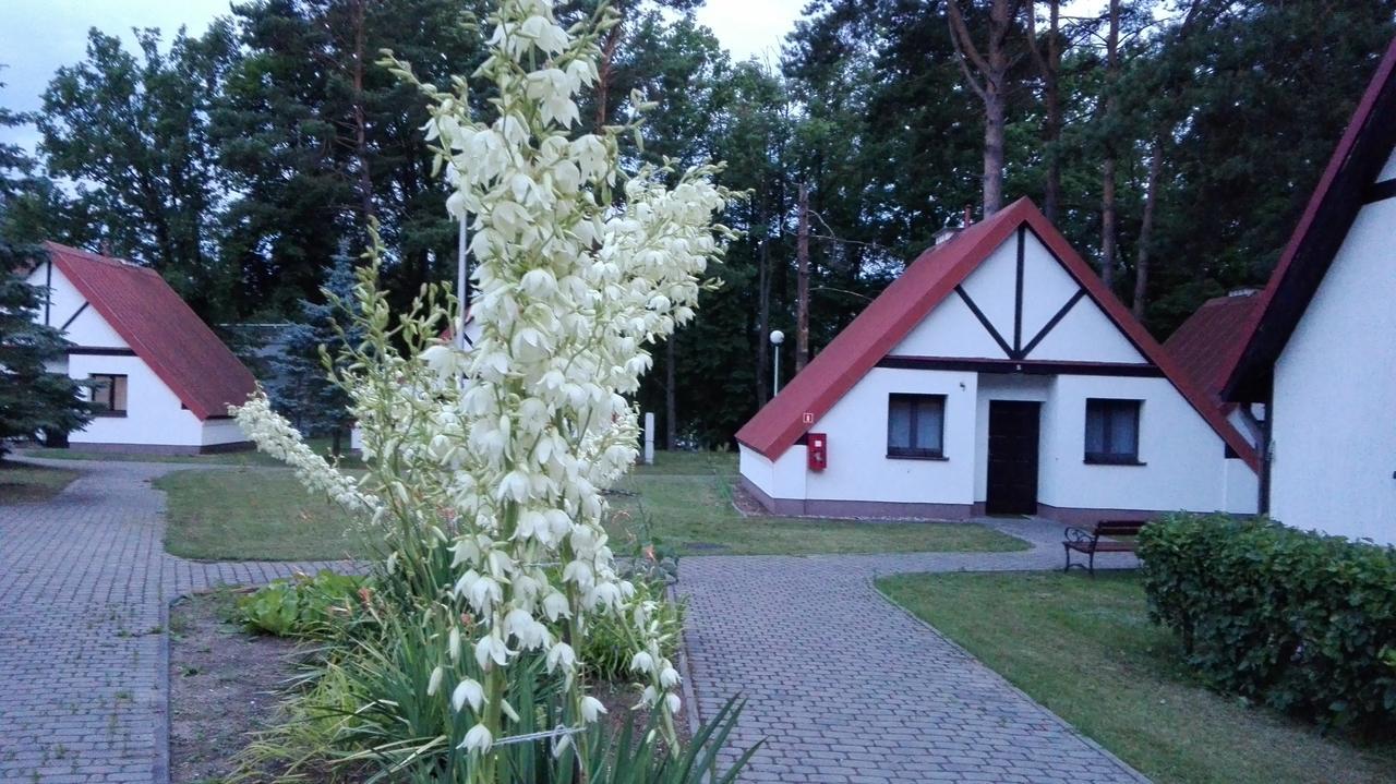 Отель Osrodek Szkoleniowo - Wypoczynkowy Guzianka Ручане-Нида Экстерьер фото
